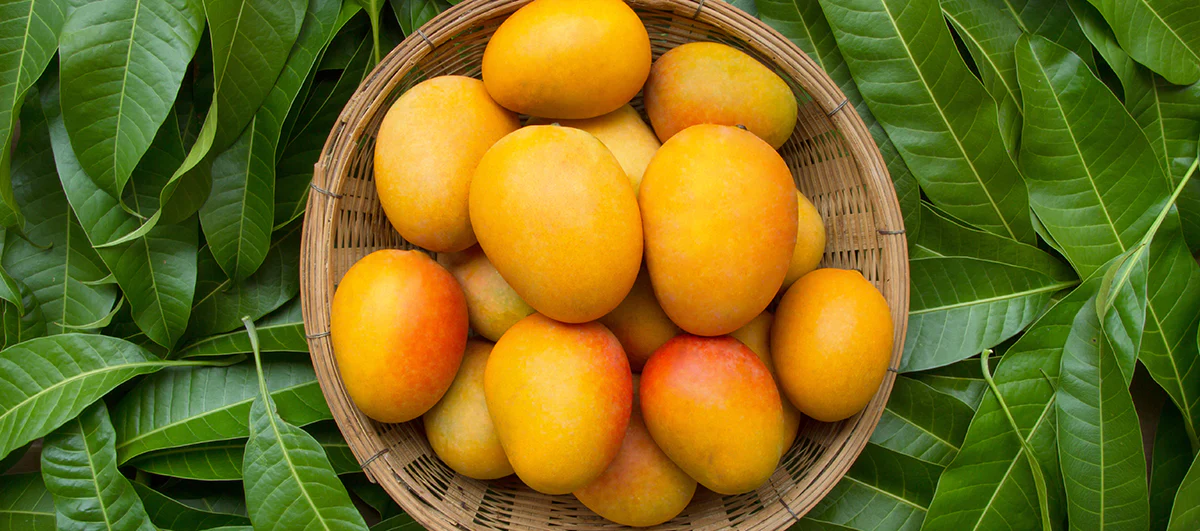 Mangoes